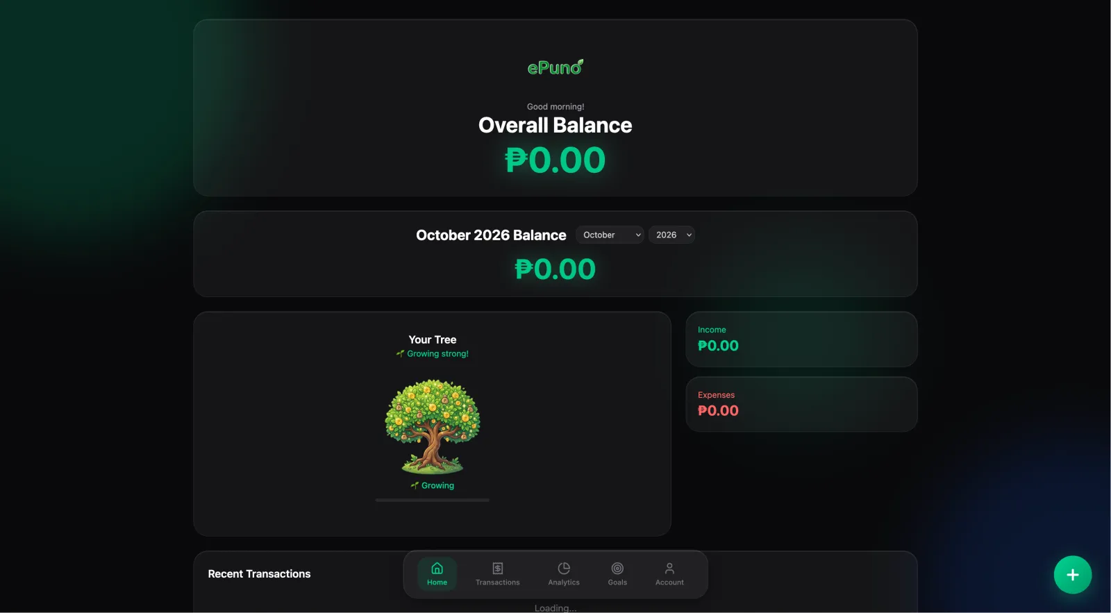 ePuno dashboard showing overall balance, monthly balance, income and expenses